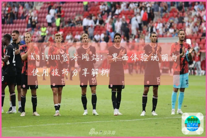 Kaiyun官方网站：界面体验说明与使用技巧分享解析
