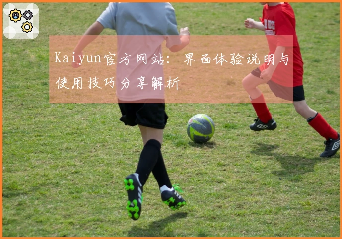 Kaiyun官方网站：界面体验说明与使用技巧分享解析