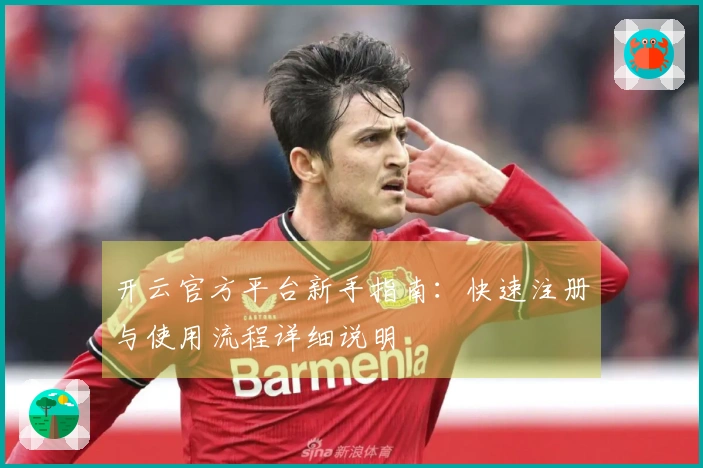开云官方平台新手指南:快速注册与使用流程详细说明
