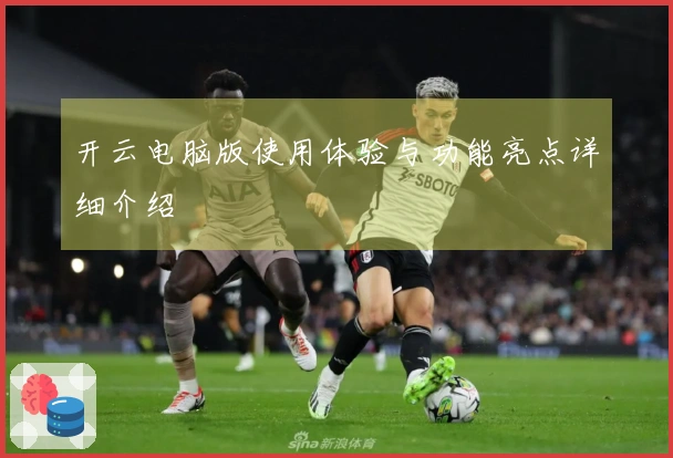 开云电脑版使用体验与功能亮点详细介绍