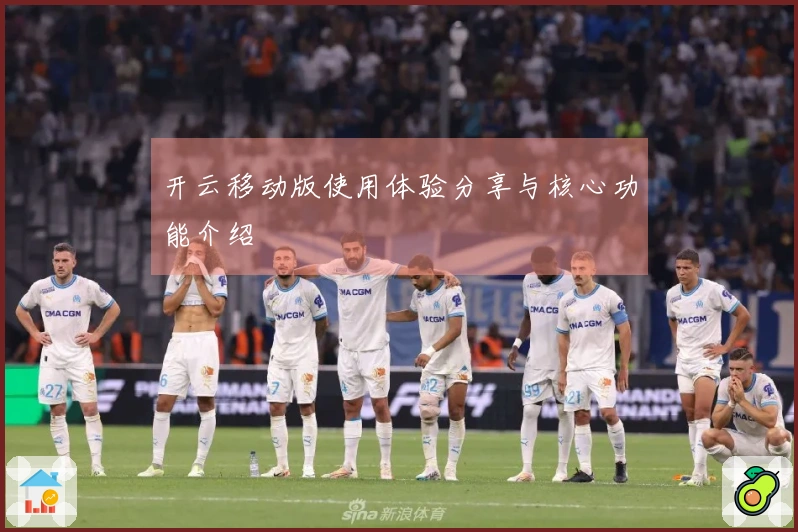 开云移动版使用体验分享与核心功能介绍